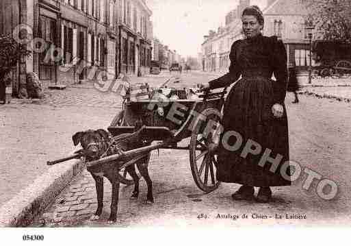 Ville de ATTELAGESDECHIENS Carte postale ancienne