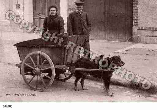 Ville de ATTELAGESDECHIENS Carte postale ancienne