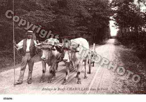 Ville de CHAROLLAIS Carte postale ancienne