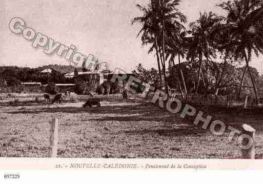 Ville de DIVERSNOUVELLECALEDONIE Carte postale ancienne