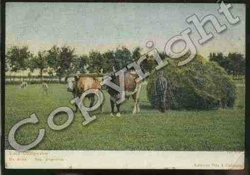 Ville de FOLKLORE Carte postale ancienne