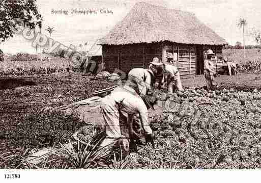 Ville de FOLKLORECUBA Carte postale ancienne