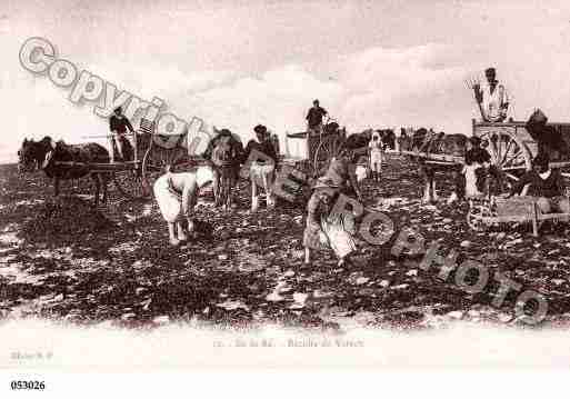 Ville de ILEDERE Carte postale ancienne