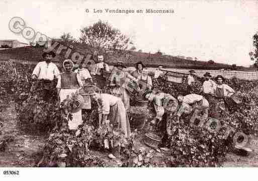 Ville de MACONNAIS Carte postale ancienne