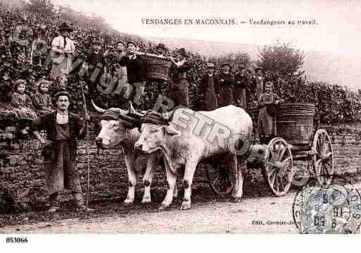 Ville de MACONNAIS Carte postale ancienne