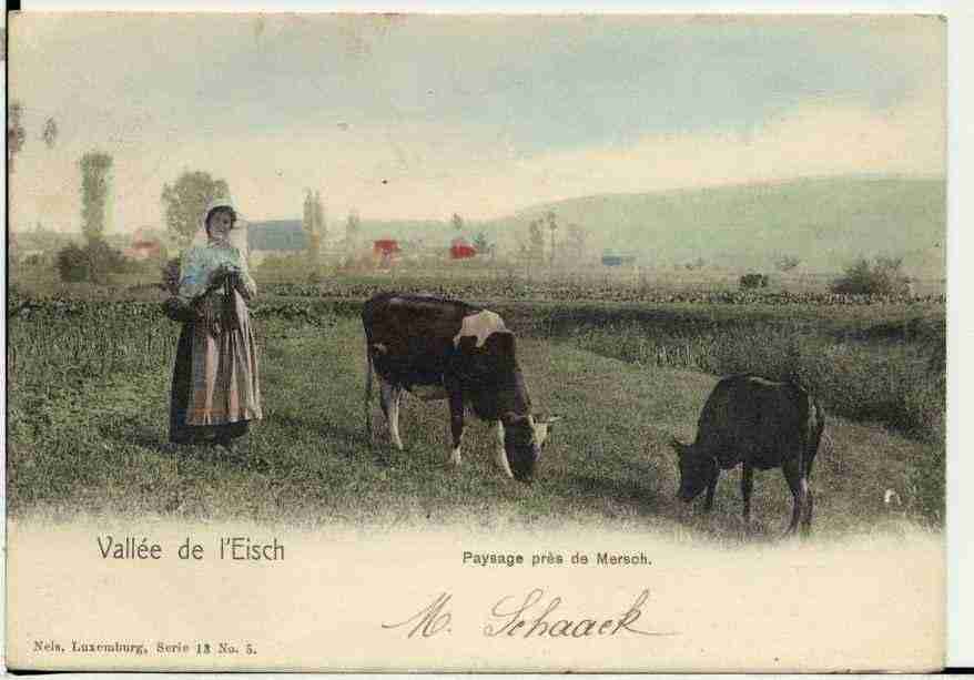 Ville de MERSCH Carte postale ancienne