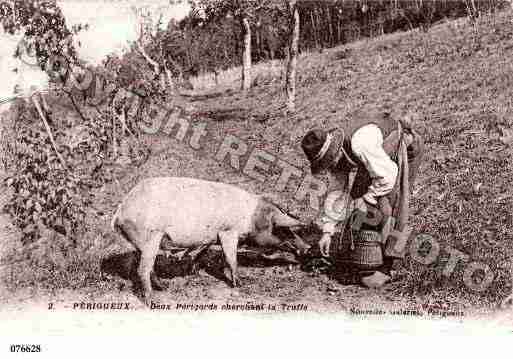 Ville de PERIGORD Carte postale ancienne