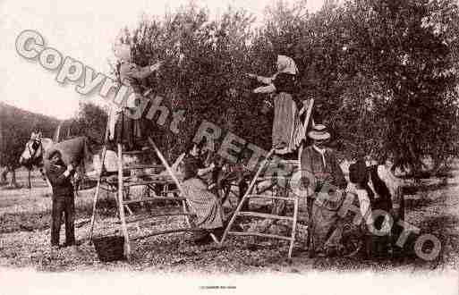 Ville de PROVENCE Carte postale ancienne