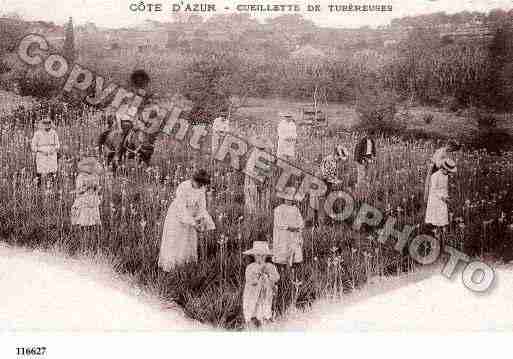 Ville de PROVENCE Carte postale ancienne