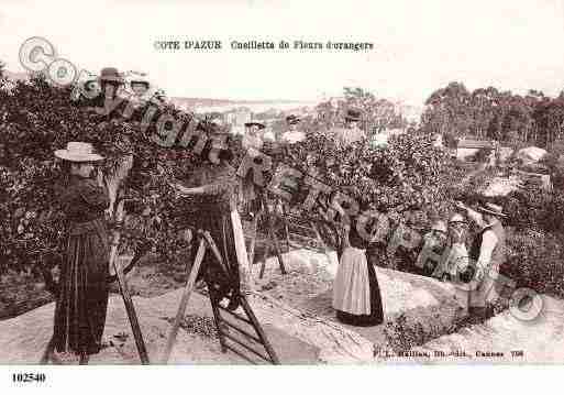 Ville de PROVENCE Carte postale ancienne