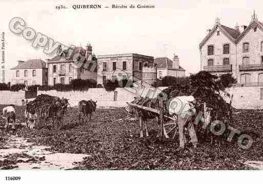 Ville de QUIBERON Carte postale ancienne