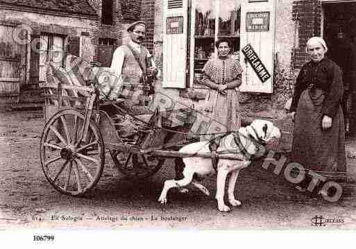 Ville de SOLOGNE Carte postale ancienne