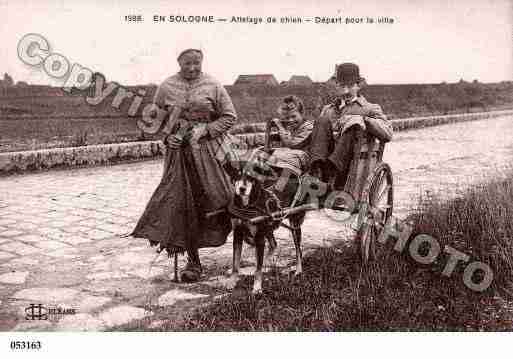 Ville de SOLOGNE Carte postale ancienne