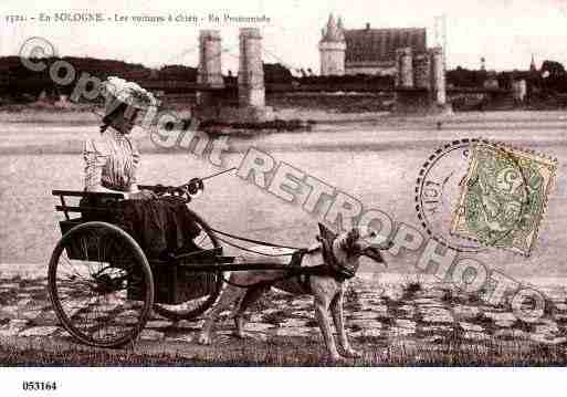 Ville de SOLOGNE Carte postale ancienne