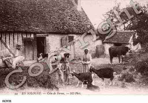 Ville de SOLOGNE Carte postale ancienne