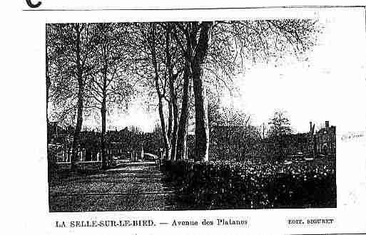 Ville de SELLESURLEBIED(LA) Carte postale ancienne