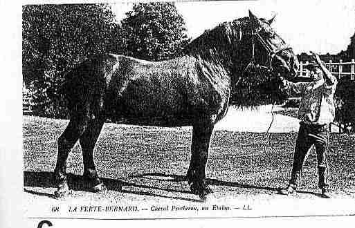 Ville de FERTEBERNARD(LA) Carte postale ancienne