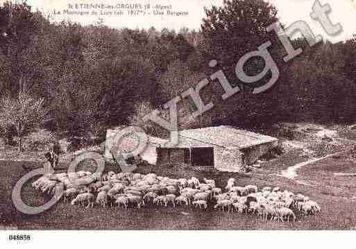 Ville de SAINTETIENNELESORGUES, carte postale ancienne