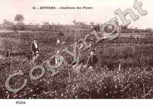 Ville de ANTIBESJUANLESPINS, carte postale ancienne