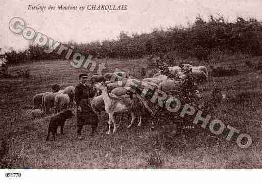 Ville de CHAROLLES, carte postale ancienne