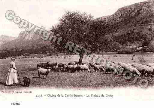 Ville de SAINTMAXIMIN, carte postale ancienne