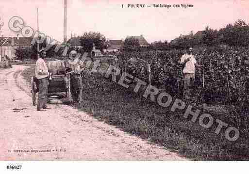 Ville de PULIGNYMONTRACHET, carte postale ancienne