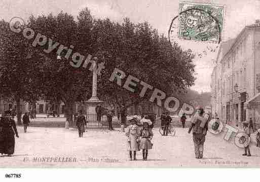 Ville de MONTPELLIER, carte postale ancienne