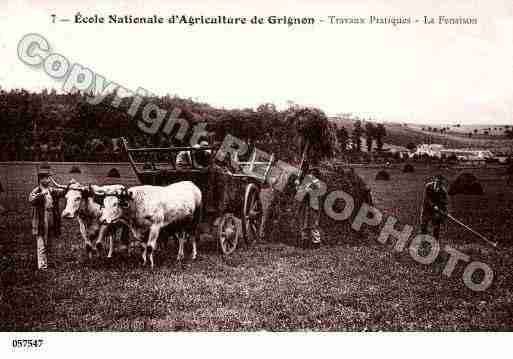 Ville de THIVERVALGRIGHON, carte postale ancienne