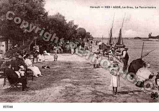 Ville de AGDE, carte postale ancienne