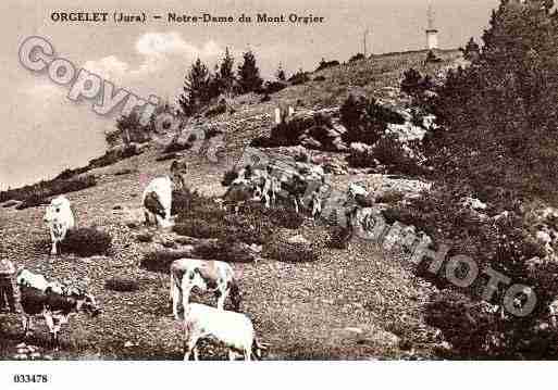 Ville de ORGELET, carte postale ancienne