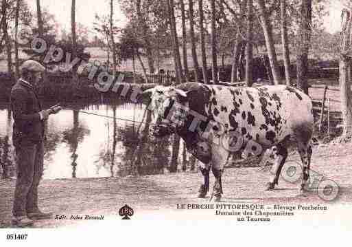 Ville de REMALARD, carte postale ancienne