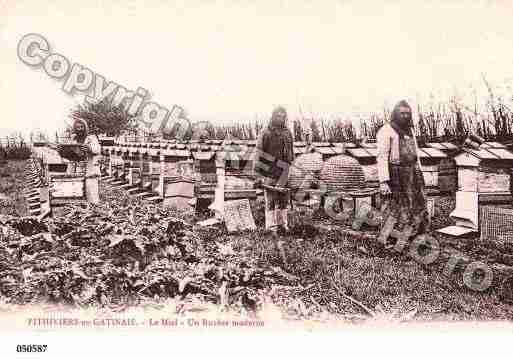 Ville de PITHIVIERS, carte postale ancienne