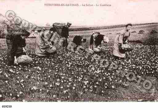 Ville de PITHIVIERS, carte postale ancienne