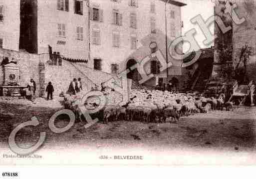 Ville de BELVEDERE, carte postale ancienne