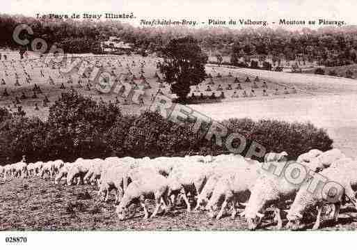 Ville de NEUFCHATELENBRAY, carte postale ancienne