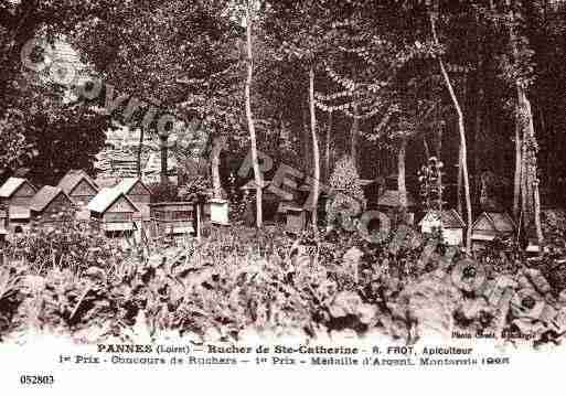 Ville de PANNES, carte postale ancienne