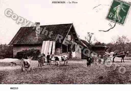 Ville de BIEFMORIN, carte postale ancienne